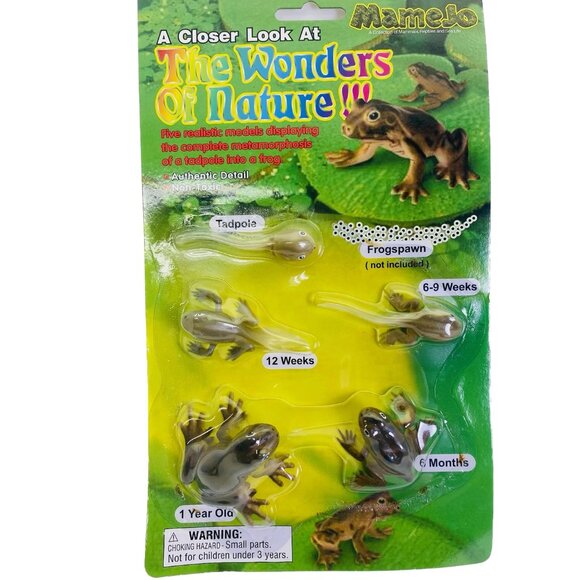 Tadpole to Frog Morphosis Life Cycle Science STEM Toys Set Kit BRAND NEW With au - Picture 7 of 10